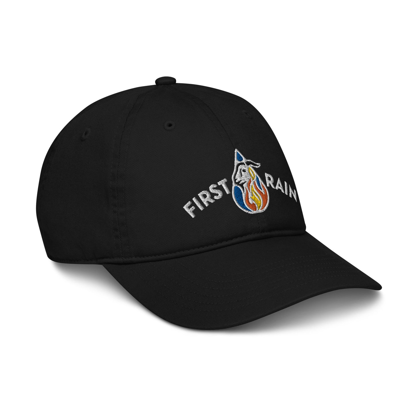 Organic dad hat