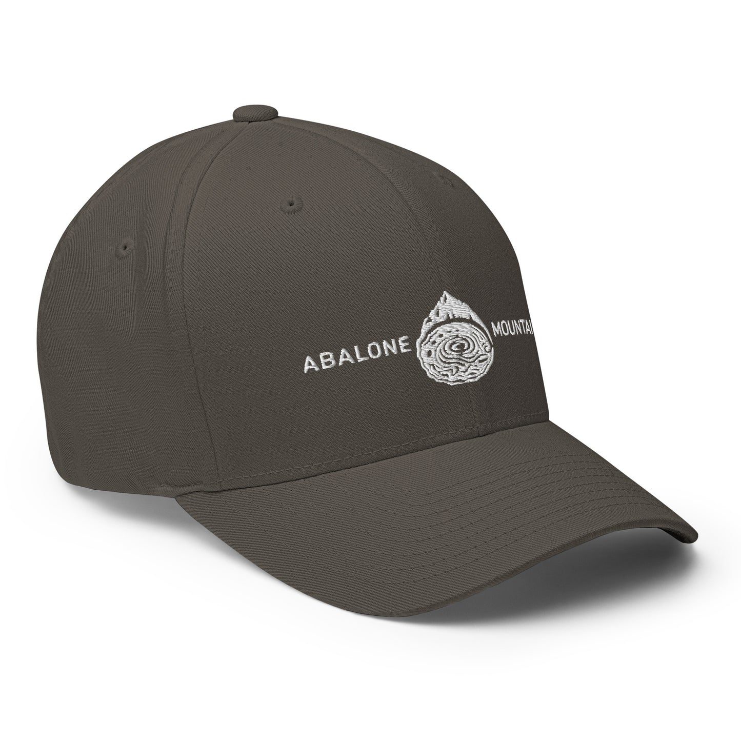 Structured Twill Cap : Abalone 04