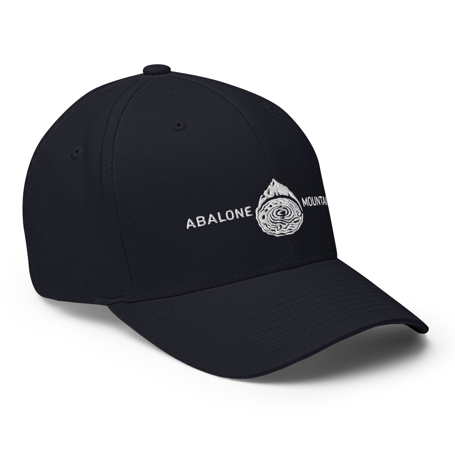 Structured Twill Cap : Abalone 04