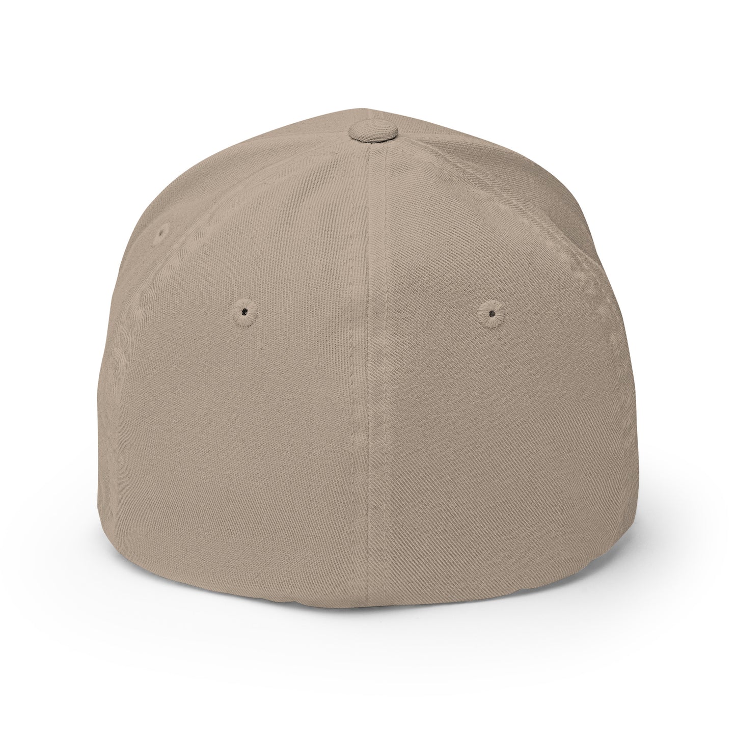 Structured Twill Cap : Abalone 04