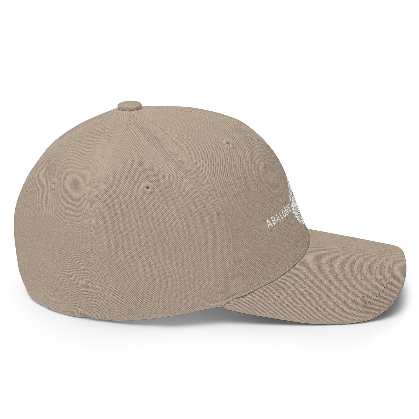 Structured Twill Cap : Abalone 04