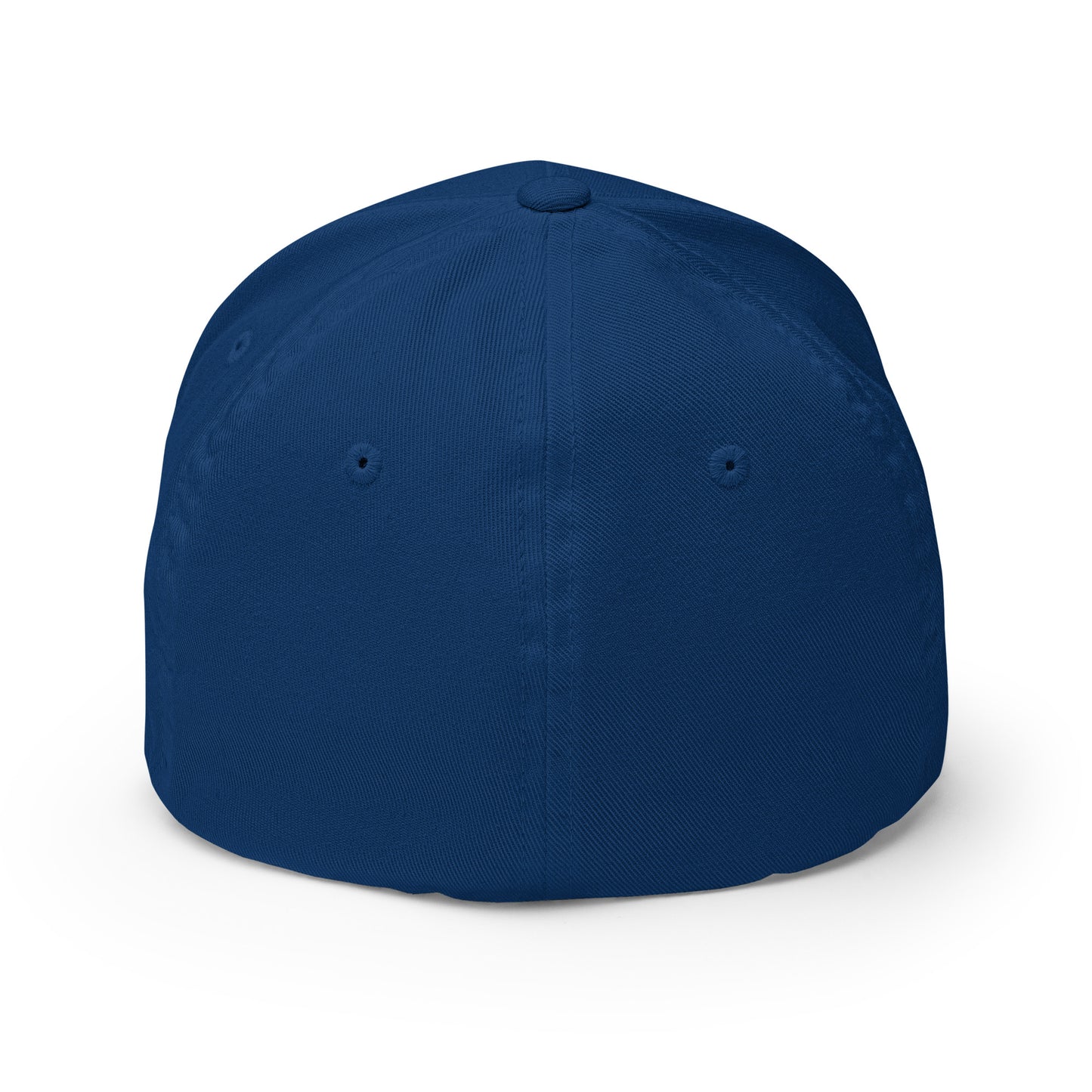 Structured Twill Cap : Abalone 04